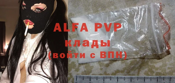 стаф Новокубанск