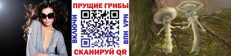 купить наркотики сайты Суворов Галлюциногенные грибы Cubensis